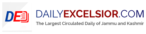 Daily Excelsior logo