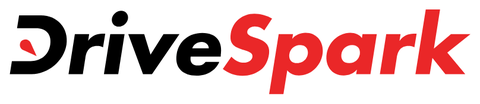 DriveSpark logo